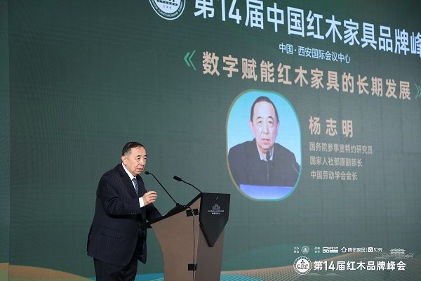 國務院參事室特邀研究員、國家人社部原副部長、中國勞動學會會長楊志明發(fā)表演講