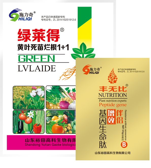 黃葉死苗爛根1+1